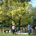 Thumbnail of http://speurtochten%20in%20Amsterdam