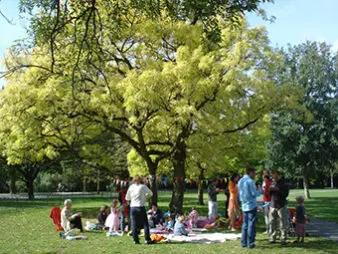 Oud Zuid en Vondelpark speurtocht