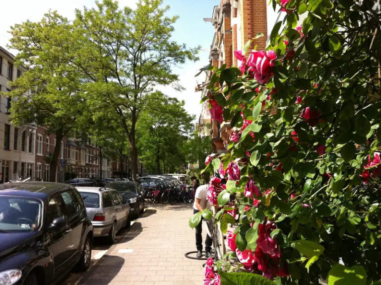 Oud Zuid en Vondelpark speurtocht