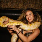 Thumbnail of http://img