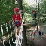 Thumbnail of http://img