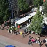 Thumbnail of http://img