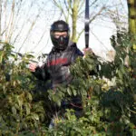 Thumbnail of http://img