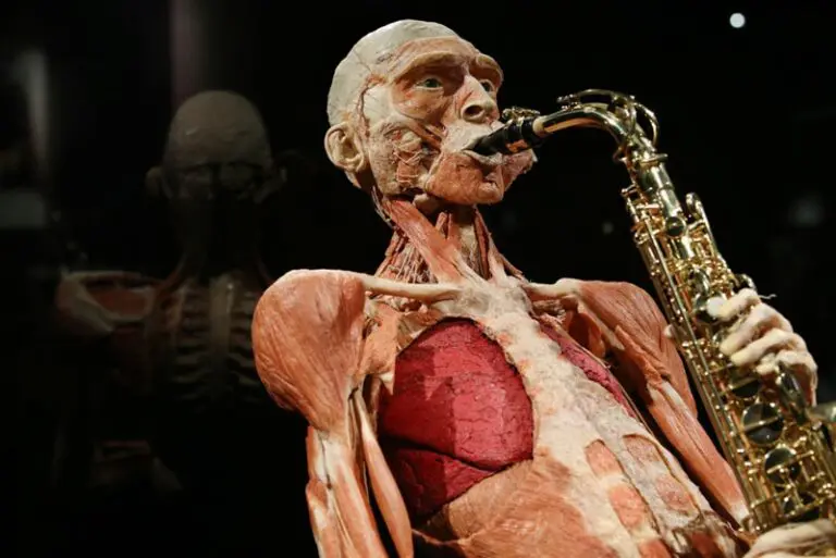 Body Worlds