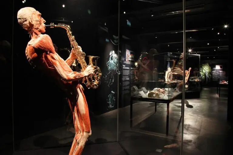 Body Worlds