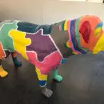 Thumbnail of http://img