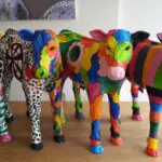 Thumbnail of http://img