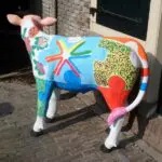 Thumbnail of http://img