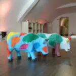 Thumbnail of http://img