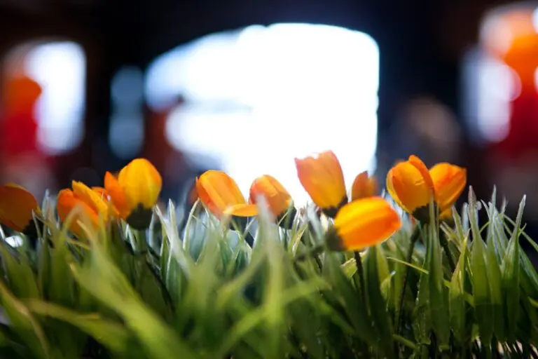 Gek op Holland dinerspel