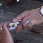 Thumbnail of http://img