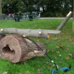 Thumbnail of http://img