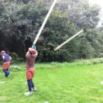 Thumbnail of http://img