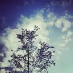 Thumbnail of http://img