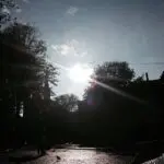 Thumbnail of http://img