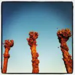 Thumbnail of http://img