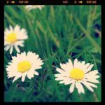 Thumbnail of http://img