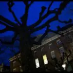 Thumbnail of http://img