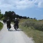 Thumbnail of http://img