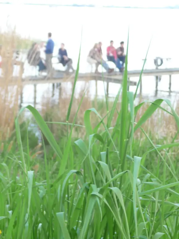 Waterland Fietstocht