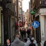 Thumbnail of http://img