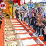 Thumbnail of http://img