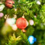 Thumbnail of http://img