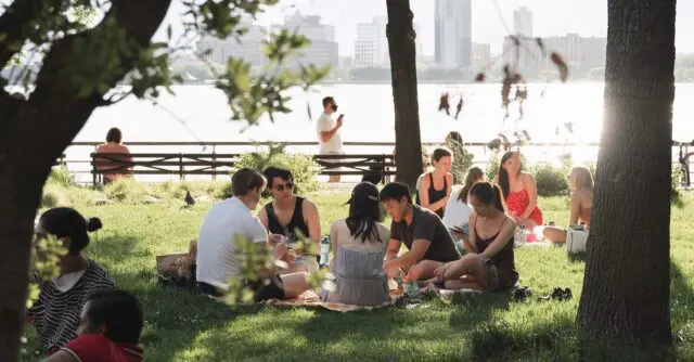 picknicken in Amsterdam