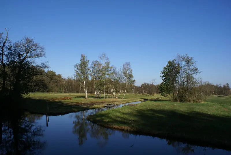 Park de Oeverlanden overdag