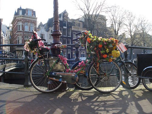Op zoek naar het perfecte uitje met buitenlandse gasten?