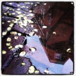 Thumbnail of http://img