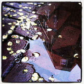 Instagramworkshop