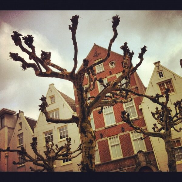 Instagram Workshop